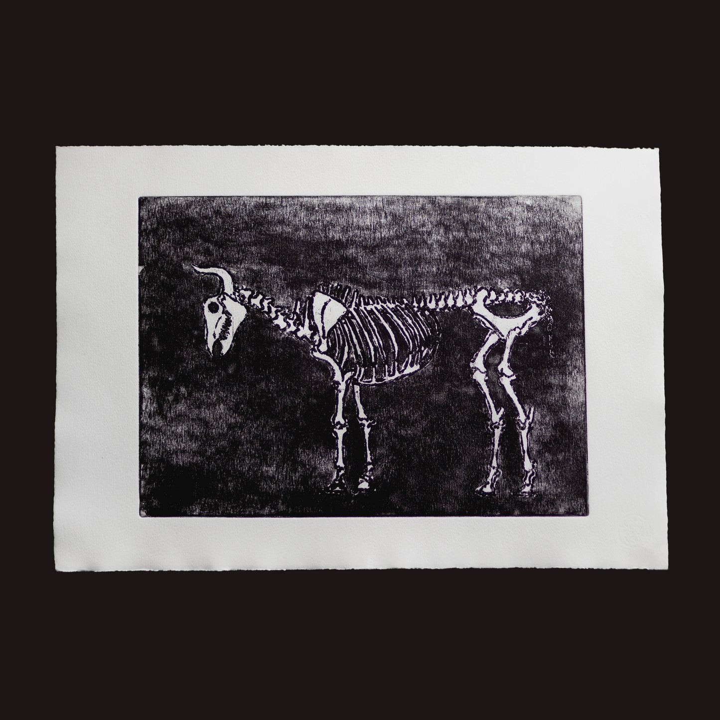 "Bull" - Aguafuerte y Aguatinta 41x58