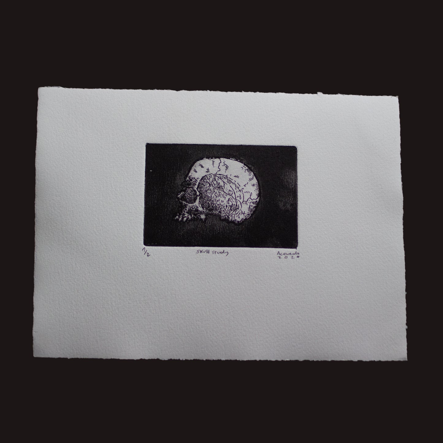 "Skull study" - Aguafuerte y Aguatinta 28x21